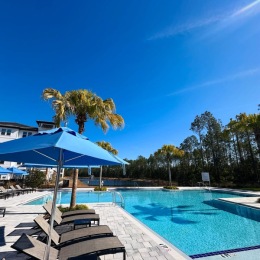 pool with lounge chairs and palm trees