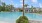 a swimming pool with palm trees and a building in the background